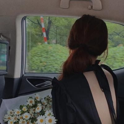 爱意随风散云霄